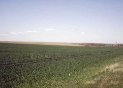 Varna - Plot of land - Near the sea