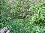Stara Zagora - House - Near Town