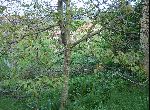 Stara Zagora - House - Near Town