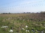 Sofia - Plot of land - Near town