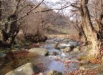 Sofia - Plot of land  - Near Ski Resort