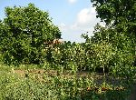 Stara Zagora - House - Near Town