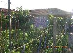 Stara Zagora - House - Near Town