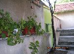 Stara Zagora - House - Near Town