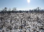 Stara Zagora - Plot of land - In spa resort