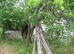 Varna - House - Near the sea