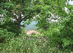 Stara Zagora - House - In mountain