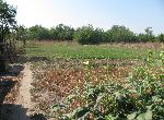 Stara Zagora - House - Near town