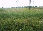 Stara Zagora - Plot of land - On highway