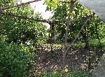 Stara Zagora - House - In mountain