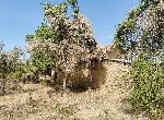 Stara Zagora - House - Near Spa Resort
